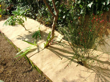 Paillage écologique pour jardins